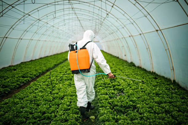 Best Pest Inspection Near Me  in Schererville, IN