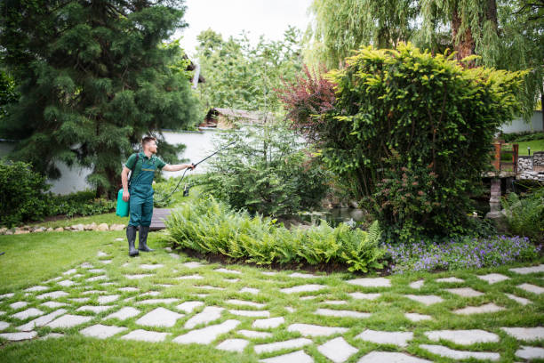 Best Mosquito Control Services  in Schererville, IN