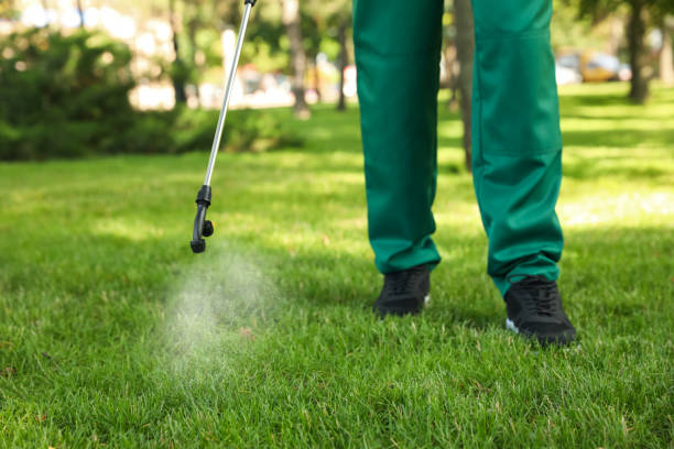 Best Bed Bug Extermination  in Schererville, IN