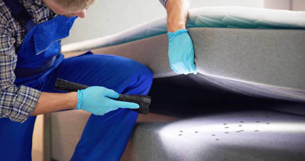Flea Control Services in Schererville, IN