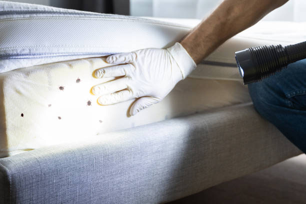 Best Bed Bug Extermination  in Schererville, IN