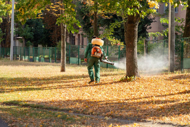 Best Wildlife Control Services  in Schererville, IN