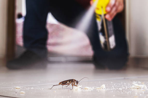 Best Commercial Pest Control Services  in Schererville, IN
